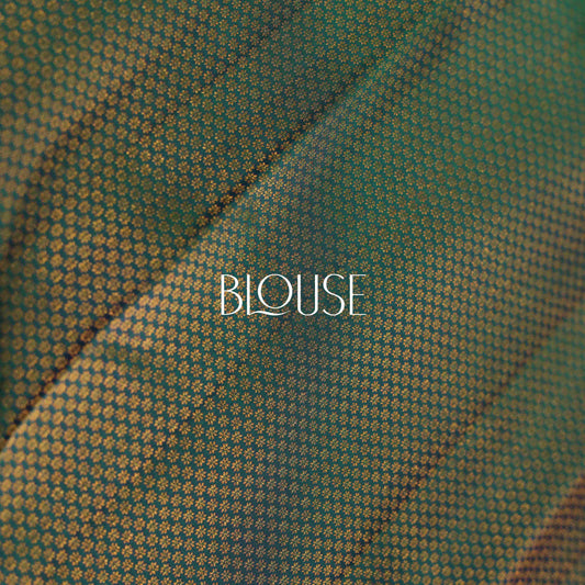 Pure Silk Saree - Vaishali Silks