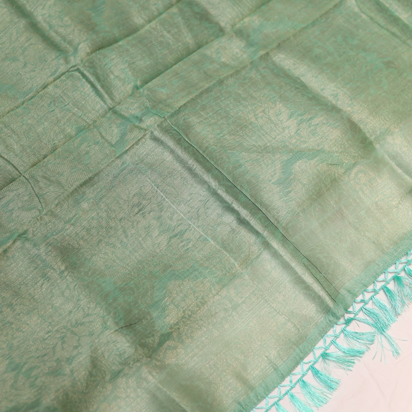 Pastel Jade Tissue Fancy Saree