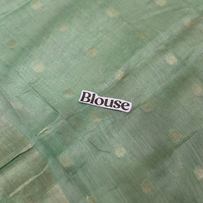 Pastel Jade Tissue Fancy Saree