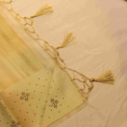 Organza Saree