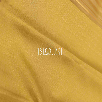 Organza Saree
