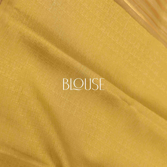 Organza Saree