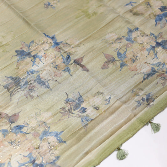 Dusty Trail Tissue Saree