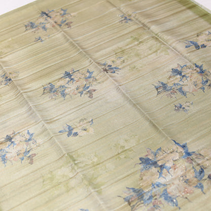 Dusty Trail Tissue Saree