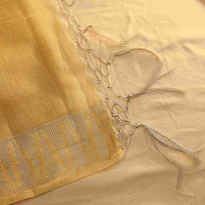 Fancy Tissue Saree