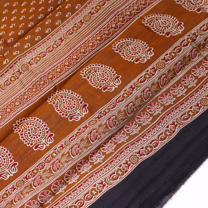 Cinnamon Stick Chanderi Saree