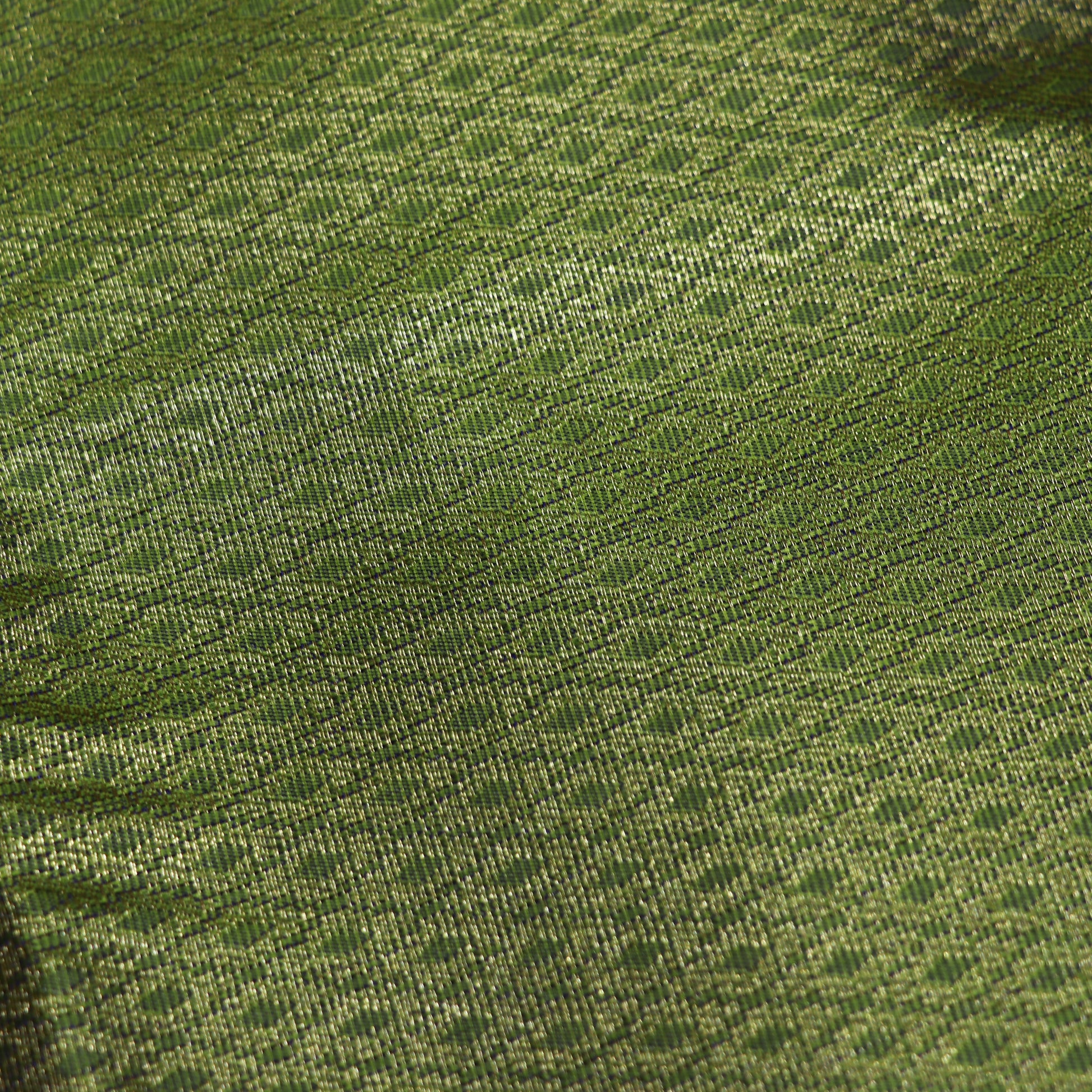 Pure Printed Silk Saree Green Colour - Vaishali Silks