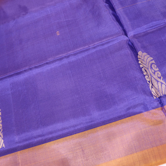 Banana Silk  Saree  Yellow With Voilet colour - Vaishali Silks