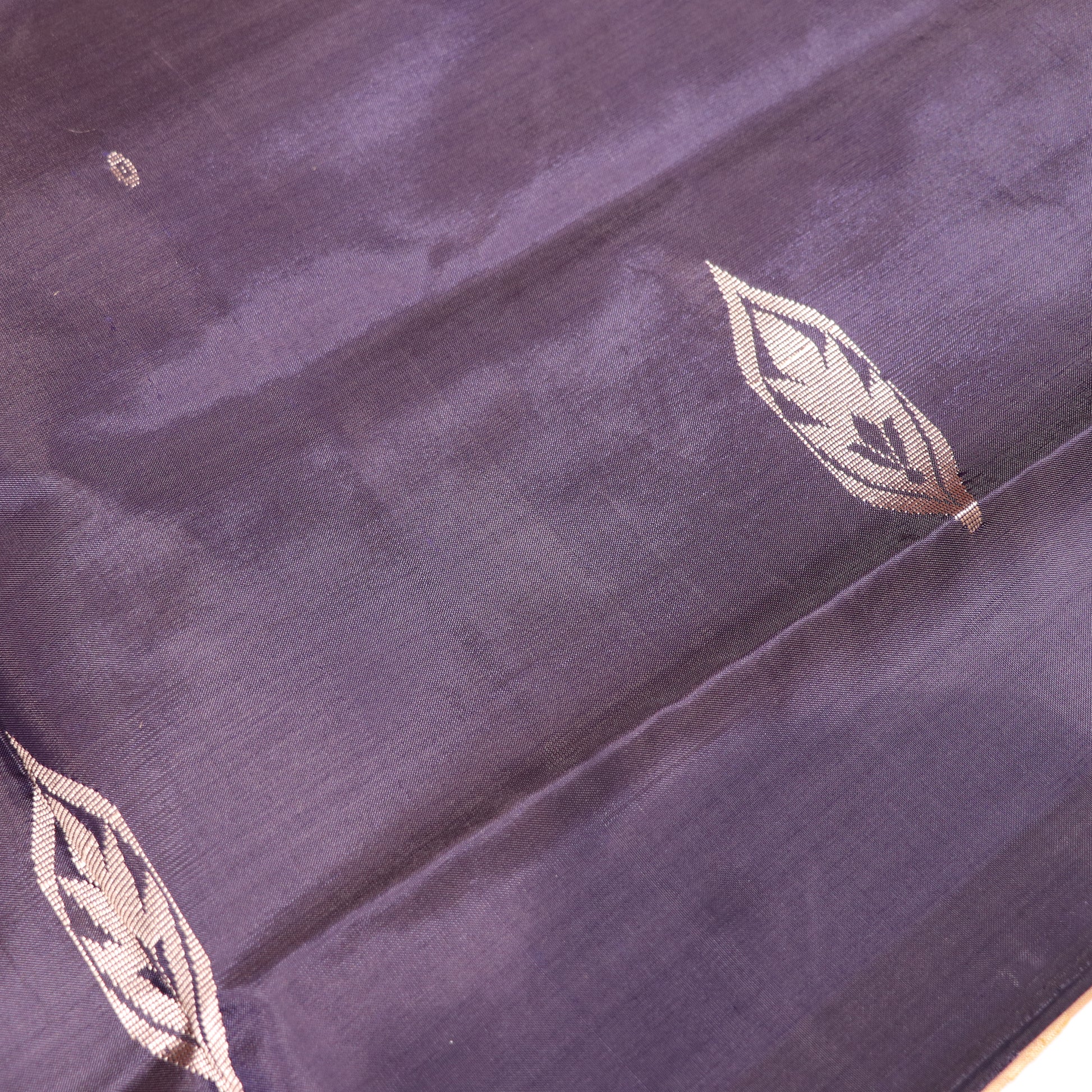 Banana Silk  Saree  Blue with Sandel Colour - Vaishali Silks
