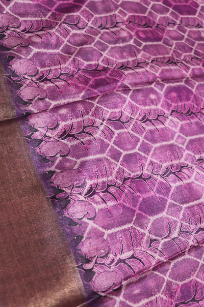 Fancy  Saree Pink  Colour