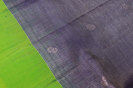 Pure Silk Tissue Saree  Dark Blue With  Parrot Green Colour - Vaishali Silks