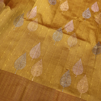 Fancy Saree   Musterd  Colour